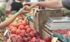 Mercado de fruta