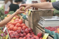 Mercado de fruta