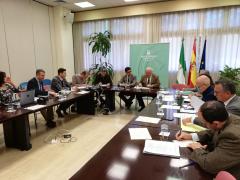 Reunión Consejo Andaluz de Consumo marzo 2020